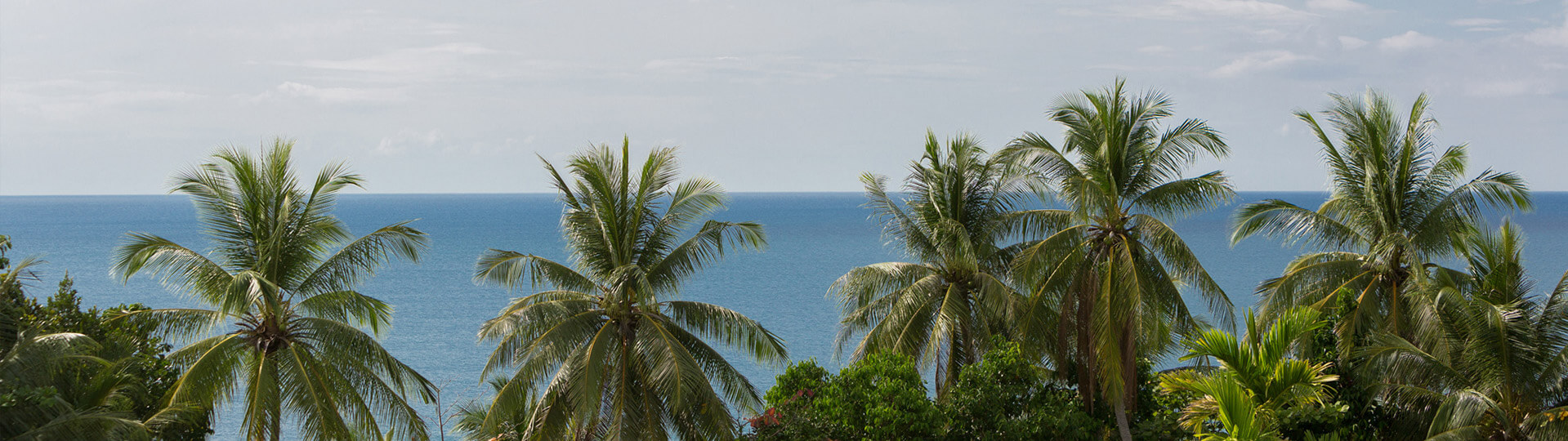 Malaiwana-Patio  about_2